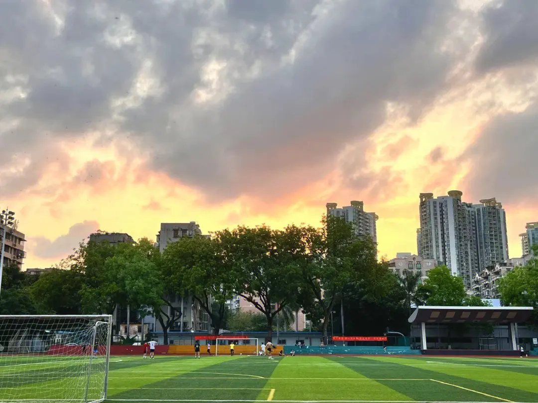 當校園思念涌動：親情電話溫暖學子的校園歲月